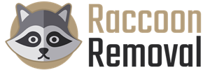 Raccoon Removal Logo