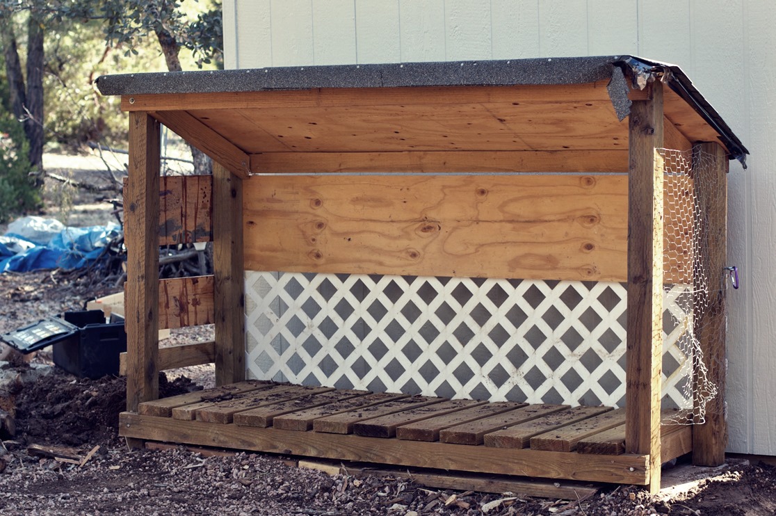 Ways to Get Free Raccoon Removal - Raccoon Removal